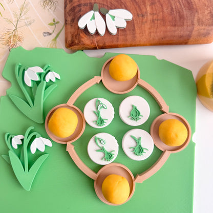 Snowdrop Life Cycle Stamp Set by inniko and Larabu