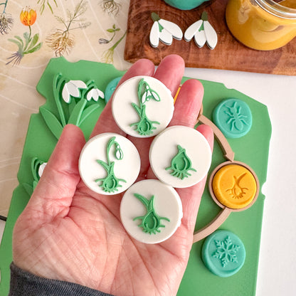 Snowdrop Life Cycle Stamp Set by inniko and Larabu