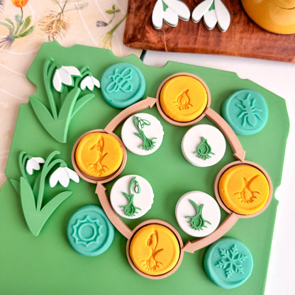 Snowdrop Life Cycle Stamp Set by inniko and Larabu