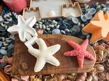 Load image into Gallery viewer, Playful Starfish Bio Mold
