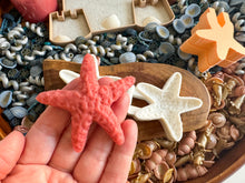 Load image into Gallery viewer, Playful Starfish Bio Mold
