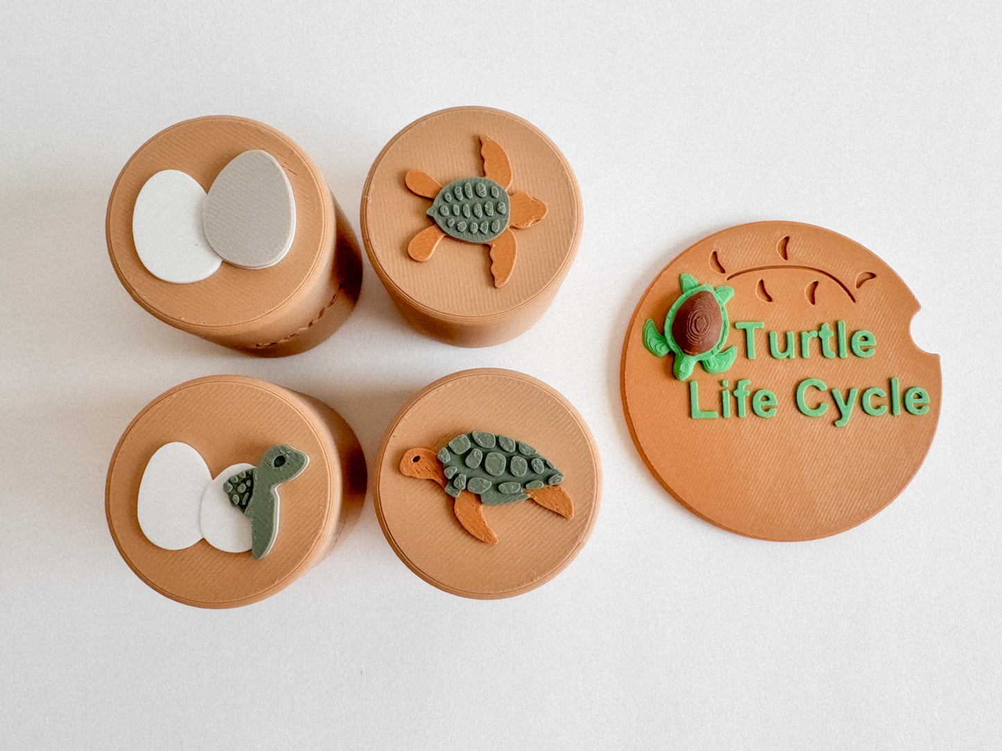 Turtle Life Cycle Double-Sided Stamp Set (Set of 4) Ready to 3D Print STL and 3MF Digital Download
