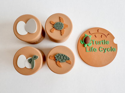 Turtle Life Cycle Double-Sided Stamp Set (Set of 4) Ready to 3D Print STL and 3MF Digital Download