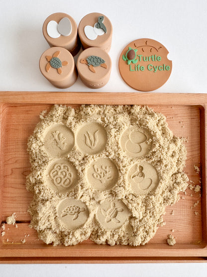 Turtle Life Cycle Double-Sided Stamp Set (Set of 4) Ready to 3D Print STL and 3MF Digital Download