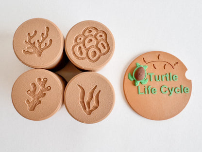 Turtle Life Cycle Double-Sided Stamp Set (Set of 4) Ready to 3D Print STL and 3MF Digital Download
