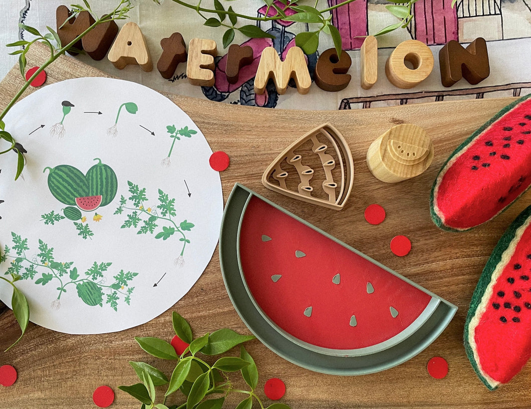 Watermelon Slice Bio Tray for Sensory Play