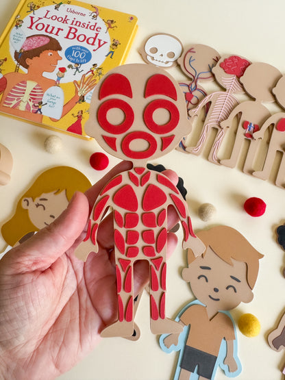 What’s Inside My Body? – A 3D-Printed Journey Through the Human Body