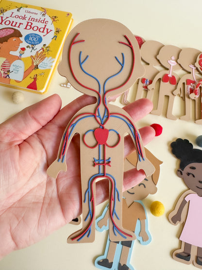 What’s Inside My Body? – A 3D-Printed Journey Through the Human Body