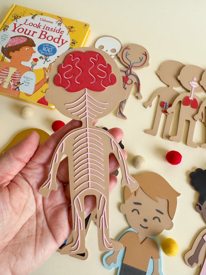 What’s Inside My Body? – A 3D-Printed Journey Through the Human Body