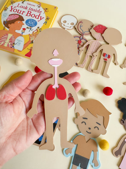 What’s Inside My Body? – A 3D-Printed Journey Through the Human Body