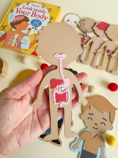 What’s Inside My Body? – A 3D-Printed Journey Through the Human Body