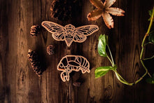 Load image into Gallery viewer, Cicada Eco Cutter Set
