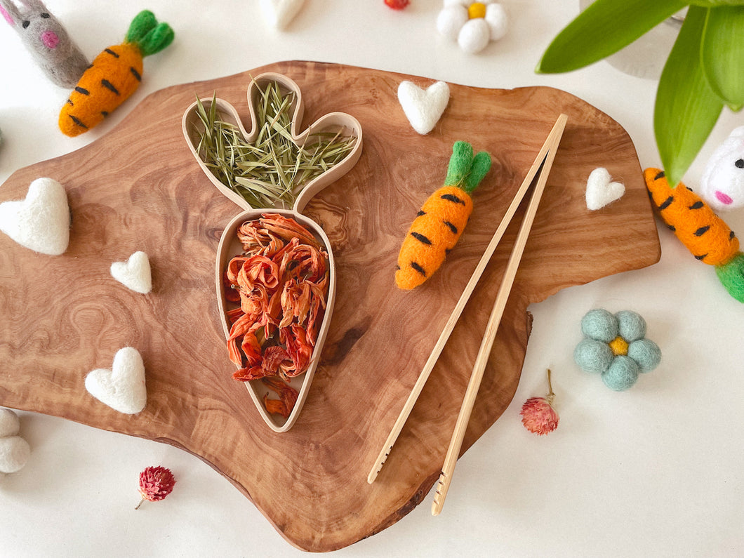 Carrot Bio Tray for Sensory Play
