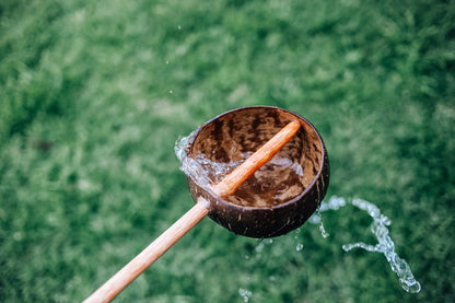Coconut Shell Water Scoop