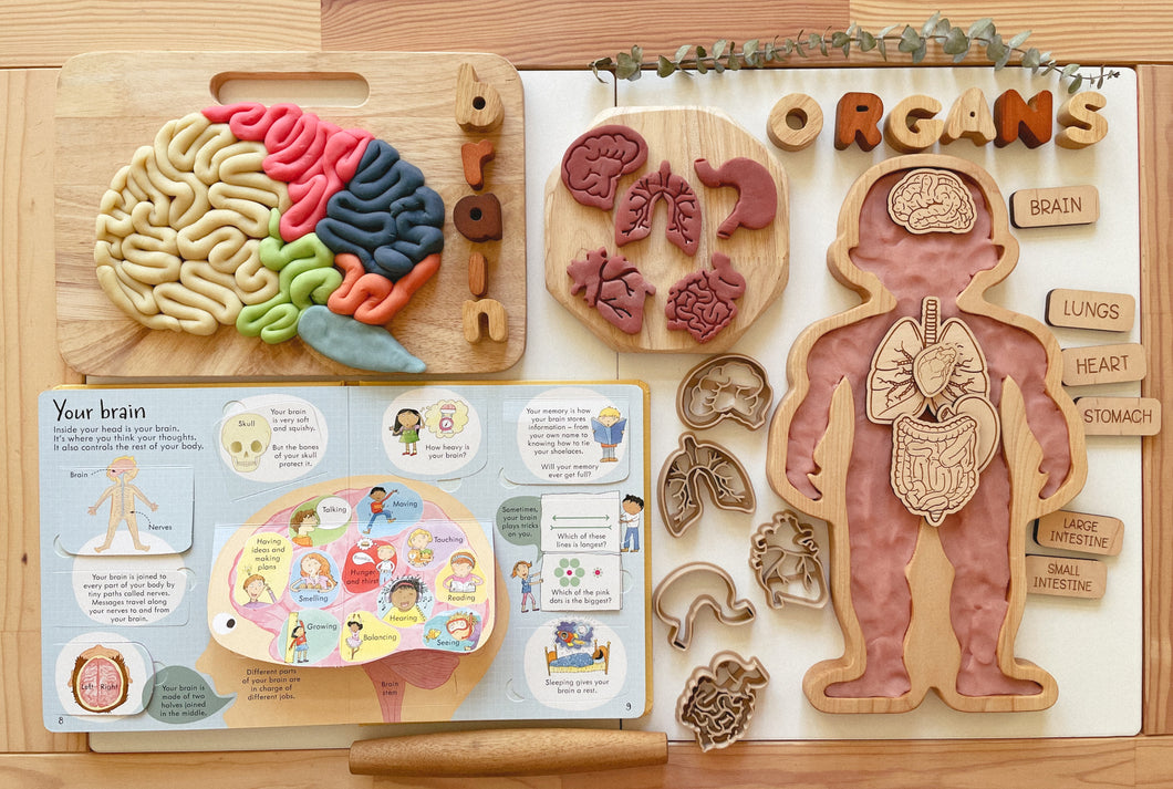 Human Body Wooden Sensory Tray