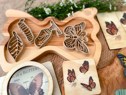 Butterfly Life Cycle Bio Dough Cutter set of 4