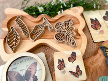 Load image into Gallery viewer, Butterfly Life Cycle Bio Dough Cutter set of 4
