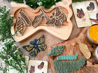 Butterfly Life Cycle Bio Dough Cutter set of 4