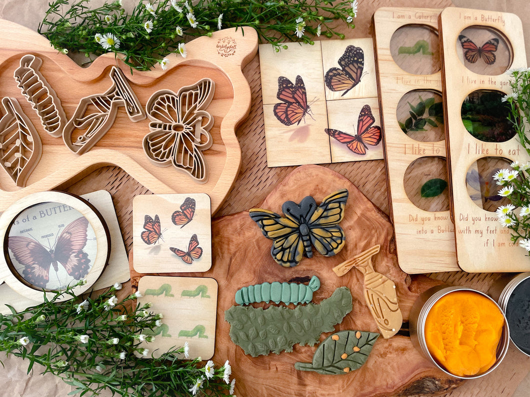 Butterfly Life Cycle Bio Dough Cutter set of 4