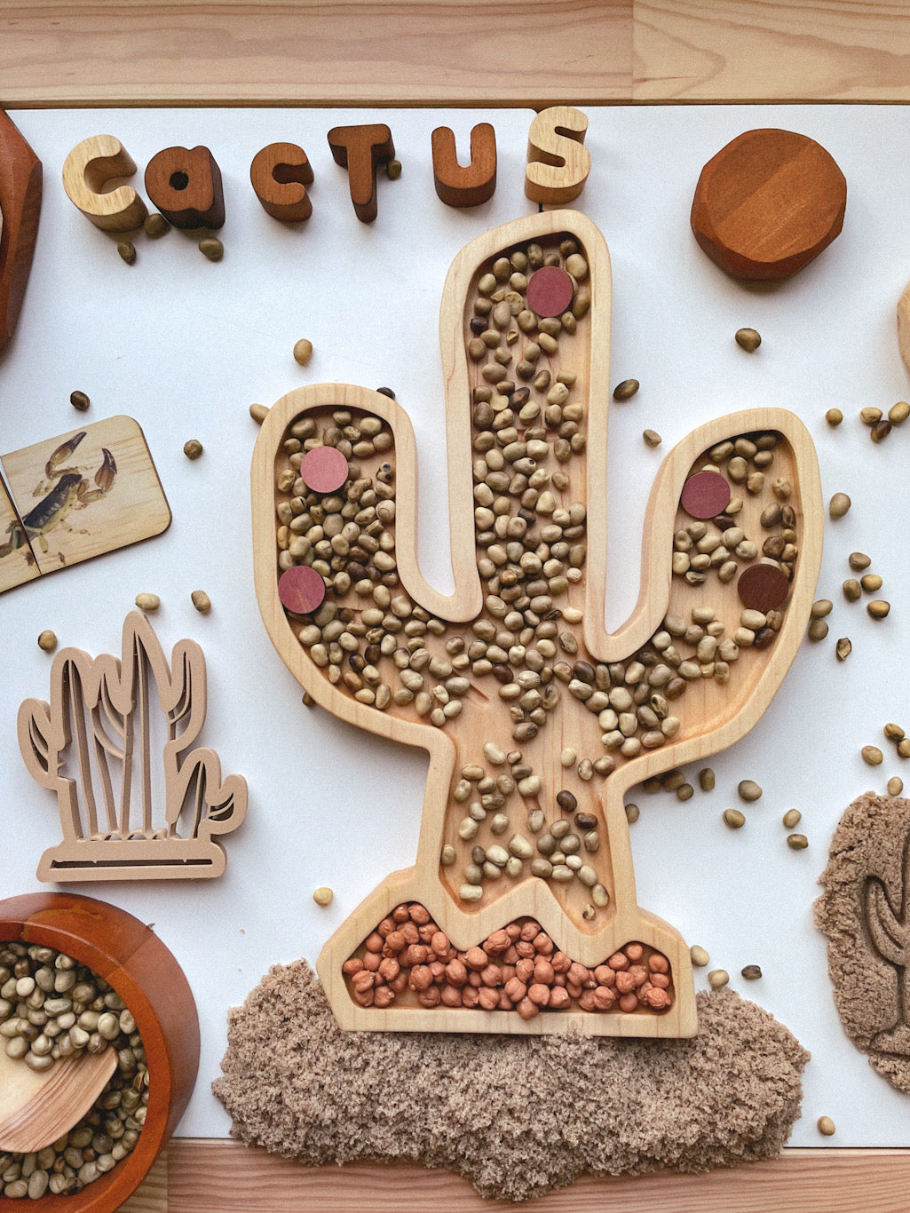Cactus Sensory Tray - NEW design
