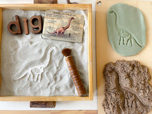 Load image into Gallery viewer, Prehistoric Fossils for Sensory Play
