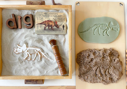Prehistoric Fossils for Sensory Play