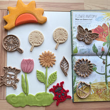 Load image into Gallery viewer, bio cutters, cookie cutters, playdough cutter, play dough cutter, eco cutter, flower, tulip, dandelion, daisy, flowers, cooke cutter, playdough, kinetic sand, air dry clay, montessori, classroom, 3D printed, biodegradable, nature based toys, educational, sensory activity
