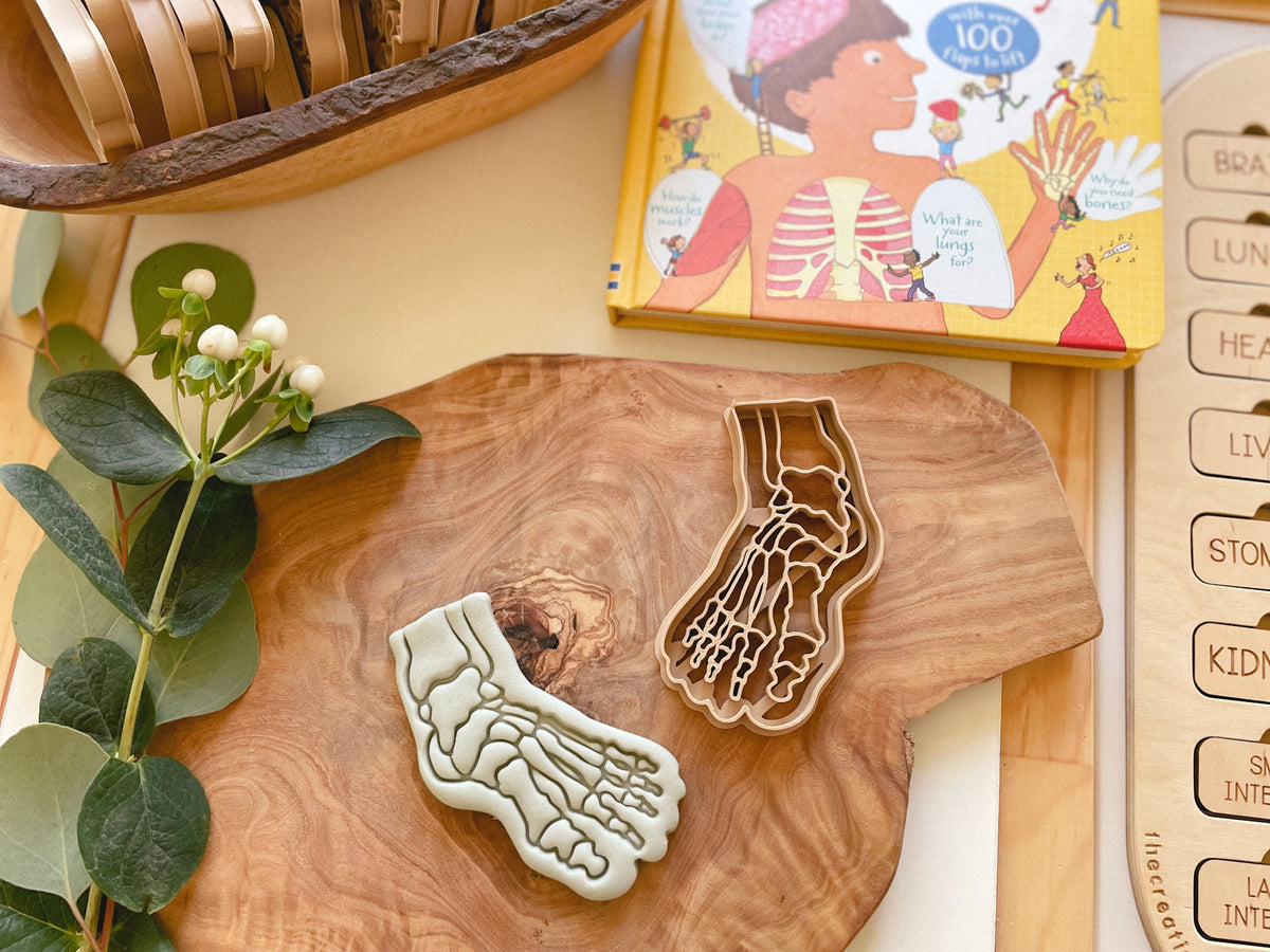 NEW - Human Body Anatomy Bio Dough Cutter - set of 10 or individual