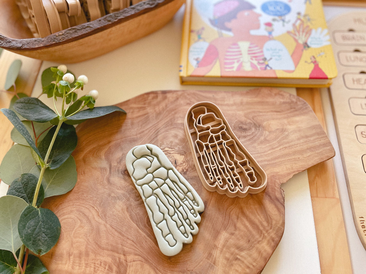 NEW - Human Body Anatomy Bio Dough Cutter - set of 10 or individual