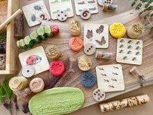 Load image into Gallery viewer, Garden Bugs Playdough Stamp set of 5
