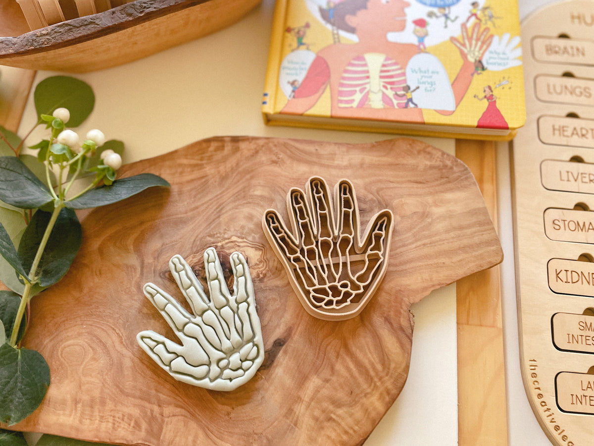 NEW - Human Body Anatomy Bio Dough Cutter - set of 10 or individual