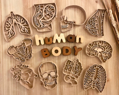 NEW - Human Body Anatomy Bio Dough Cutter - set of 10 or individual