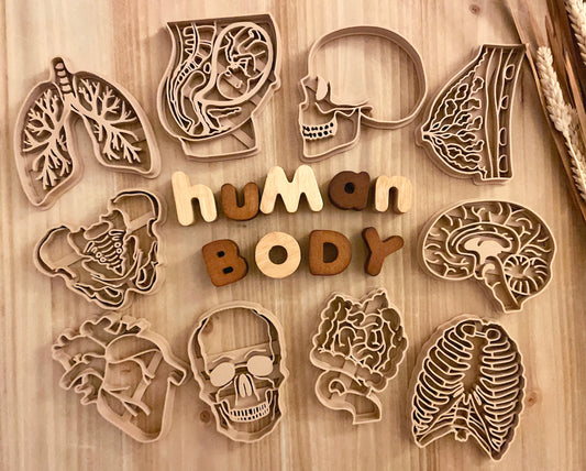 NEW - Human Body Anatomy Bio Dough Cutter - set of 10 or individual