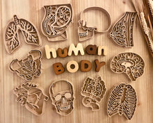 Load image into Gallery viewer, NEW - Human Body Anatomy Bio Dough Cutter - set of 10 or individual
