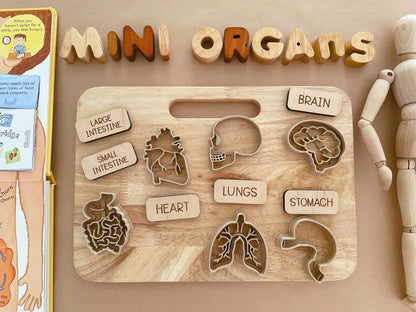 Mini Organs Bio Dough Cutter sets or individuals
