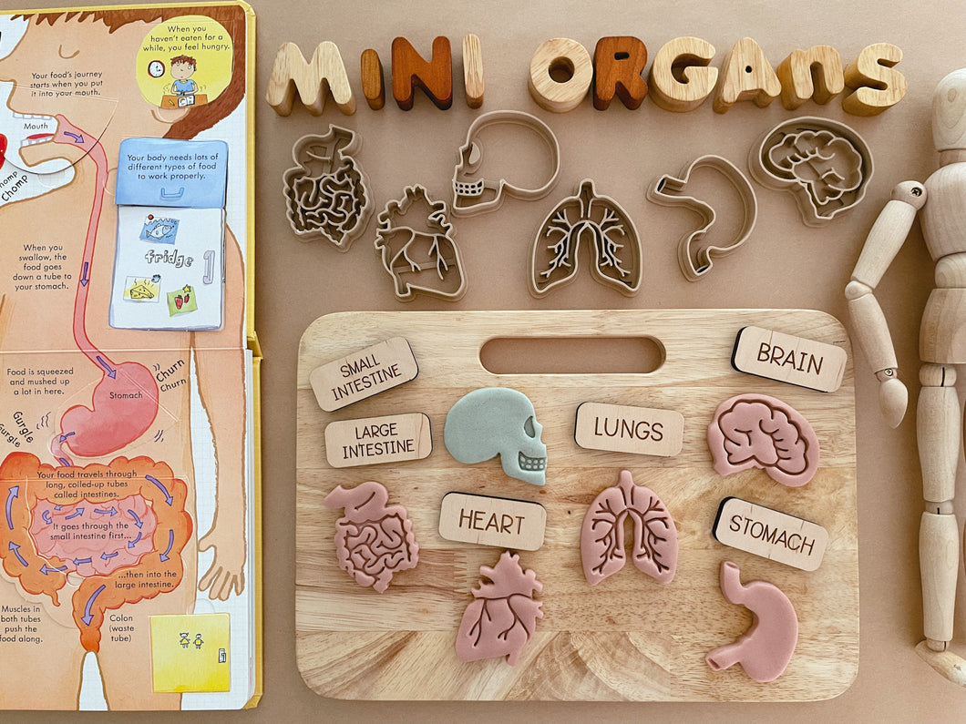 Mini Organs Bio Dough Cutter sets or individuals