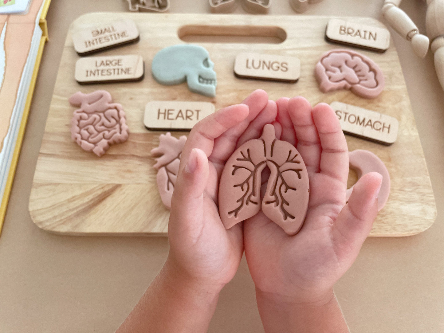 Mini Organs Bio Dough Cutter sets or individuals