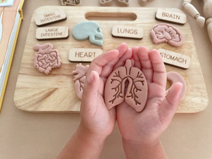 Mini Organs Bio Dough Cutter sets or individuals