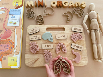 Mini Organs Bio Dough Cutter sets or individuals