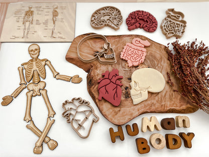 NEW - Human Body Anatomy Bio Dough Cutter - set of 10 or individual