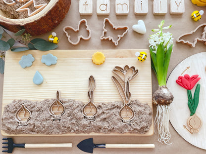 bio cutters, cookie cutters, playdough cutter, play dough cutter, eco cutter, bulb family, crocus, life cycle, 3D printed, biodegradable, nature based toys, educational, sensory activity