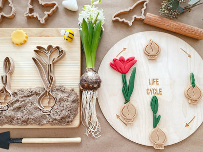 bio cutters, cookie cutters, playdough cutter, play dough cutter, eco cutter, bulb family, crocus, life cycle, 3D printed, biodegradable, nature based toys, educational, sensory activity