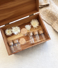 Load image into Gallery viewer, Medium Specimen Bottles with Cork (16 pcs) by June and December
