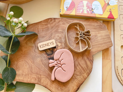 NEW - Human Body Anatomy Bio Dough Cutter - set of 10 or individual