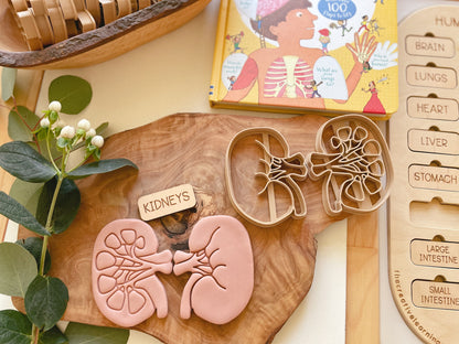 NEW - Human Body Anatomy Bio Dough Cutter - set of 10 or individual
