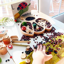 Load image into Gallery viewer, Lady Bug Wooden Sensory Tray

