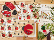 Load image into Gallery viewer, Lady Bug Wooden Sensory Tray
