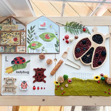 Load image into Gallery viewer, Lady Bug Wooden Sensory Tray
