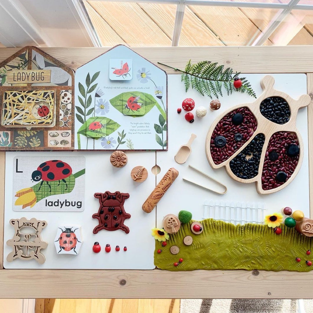 Lady Bug Wooden Sensory Tray