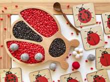 Load image into Gallery viewer, Lady Bug Wooden Sensory Tray
